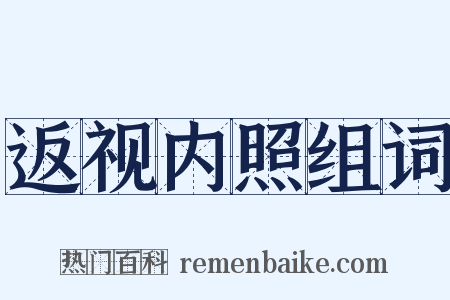 返视内照组词是什么意思的图片